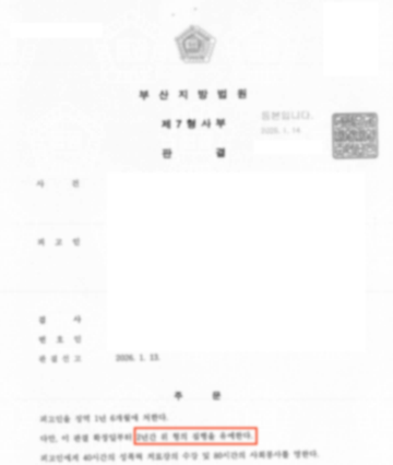 아동청소년 성착취물 배포 사건 집행유예 처분 판결문 이미지