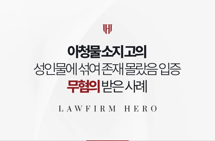 아청물 소지 고의 | 성인물에 섞여 존재를 몰랐음 입증해 무혐의 사례