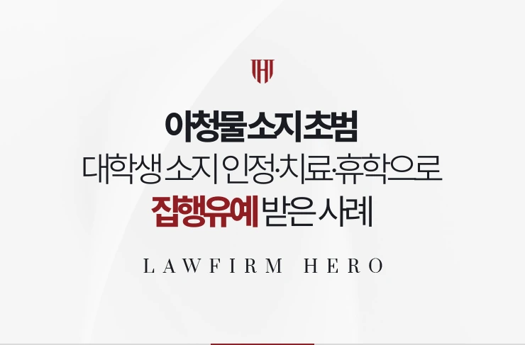 아청물 소지 초범 | 대학생이 소지를 인정하고 치료와 휴학으로 집행유예 받은 사례